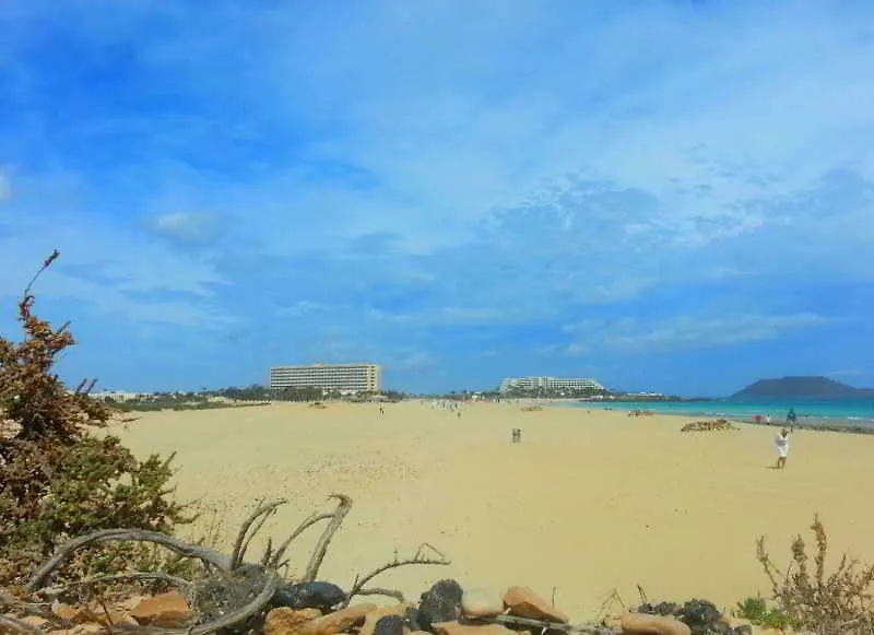 Hotel Riu Oliva Beach Resort Corralejo 3*,  Spain